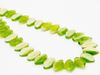 Picture of 12x7 mm, Czech druk beads, wavy leaf, lime green & cream