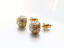 Picture of “Shamballa” stud earrings, sterling silver, gold-plated,  pavé crystals, 9 mm